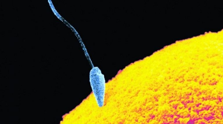 NES/T GEL ANTICONCEPTIVO para hombres ¡ya disponible!