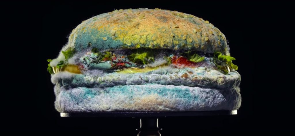 Moldy Whopper