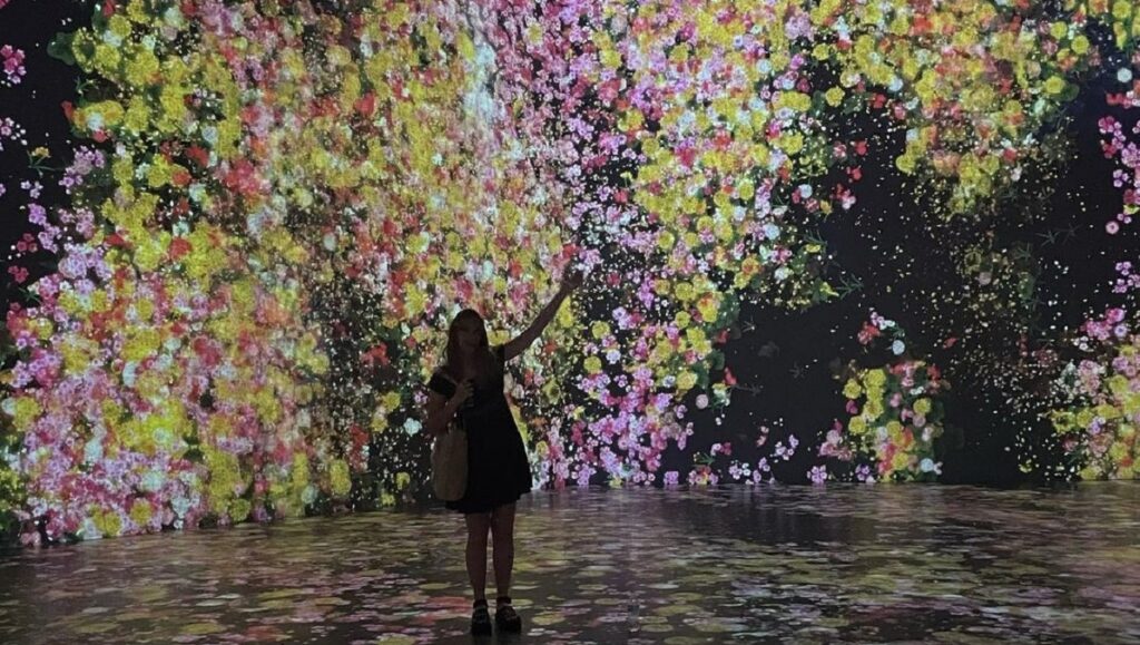 super blue museum miami