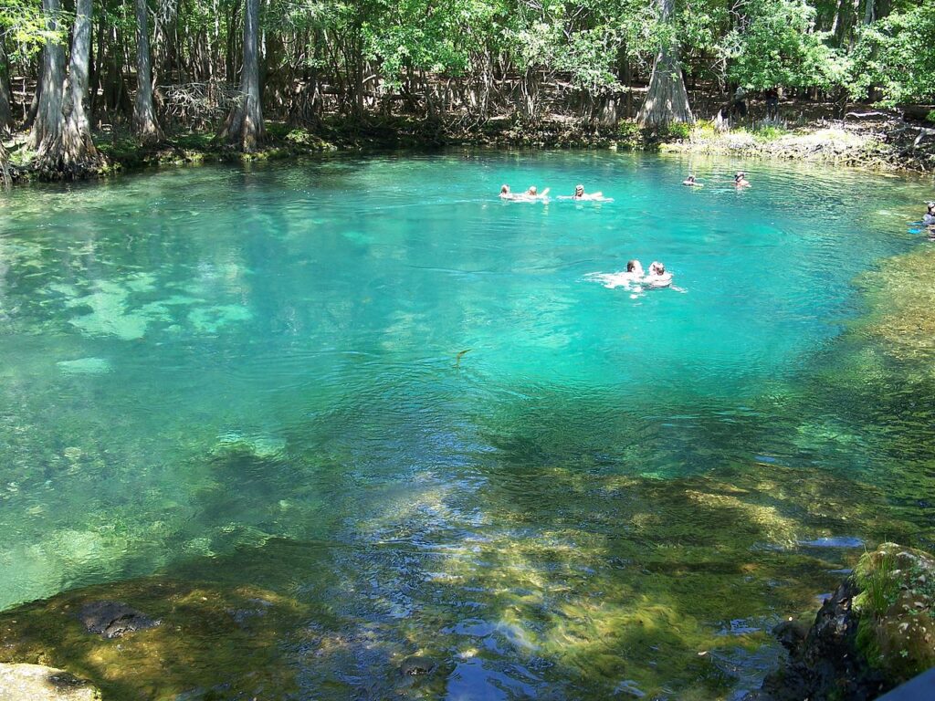 los mejores springs en florida