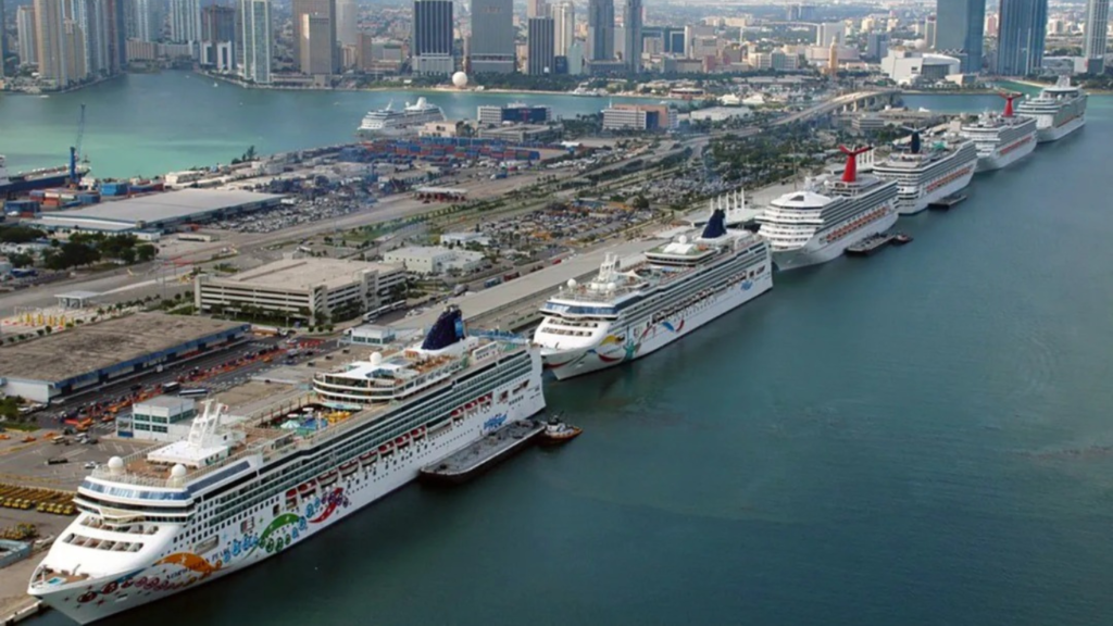 Operador Profesional de Cruceros en Miami