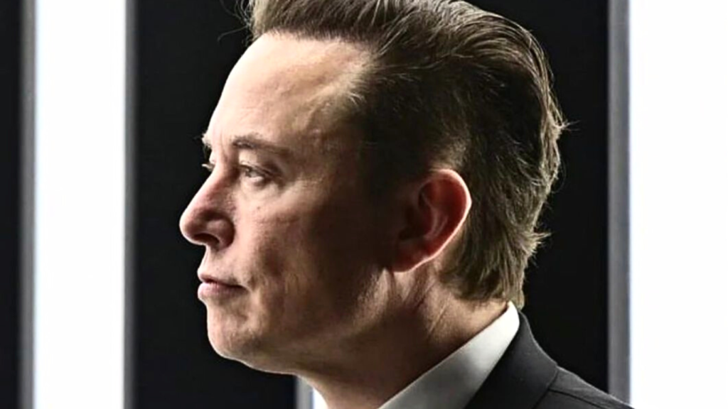 Elon Musk quiere parar el juicio de twitter