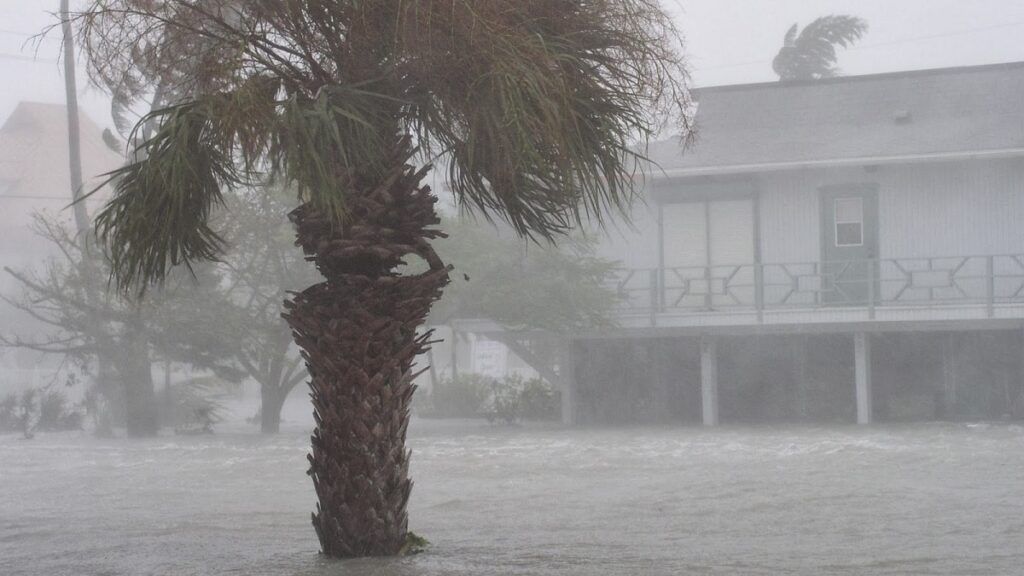 asistencia fema florida huracan ian beneficios