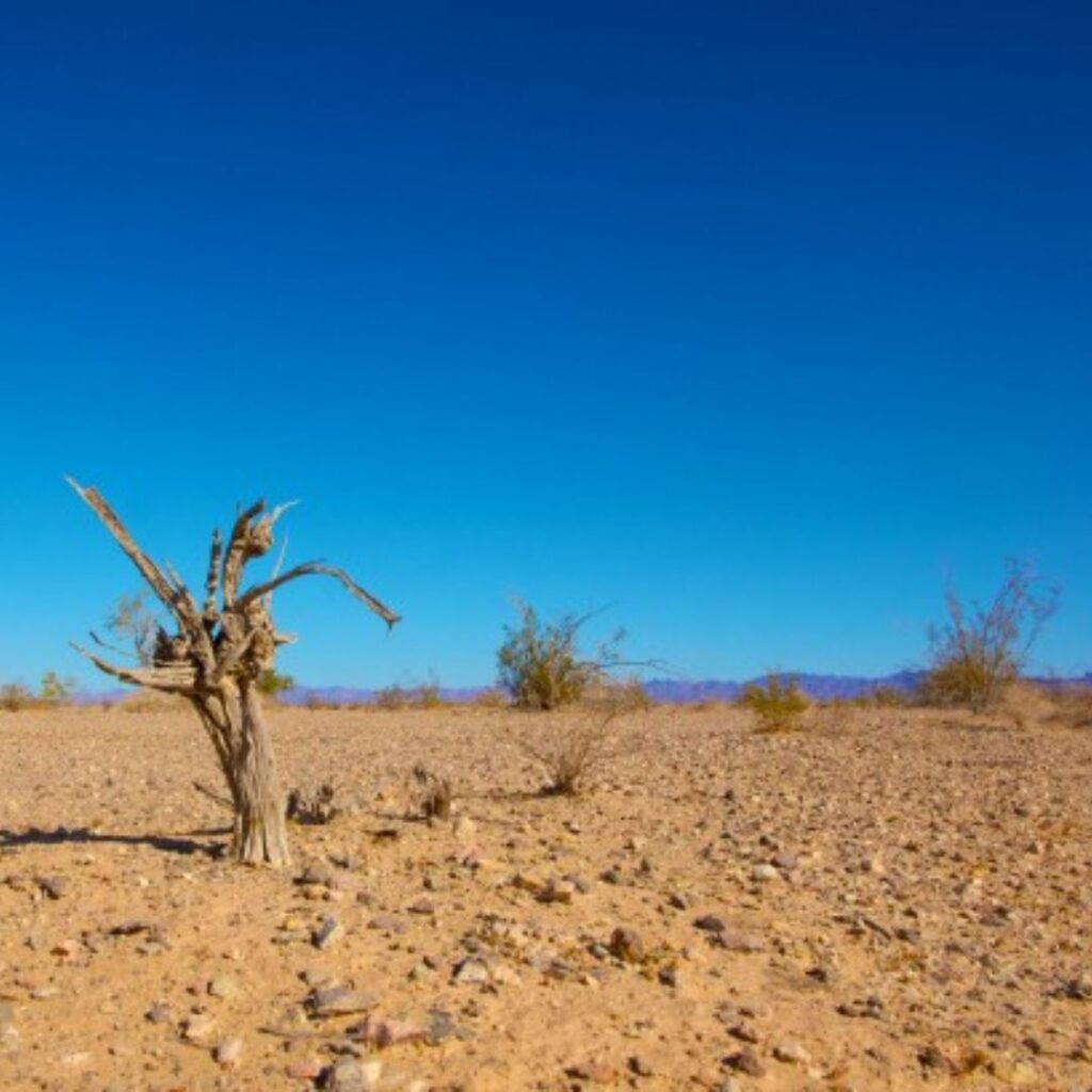cual es la tecnologia para bajar la temperatura del planeta