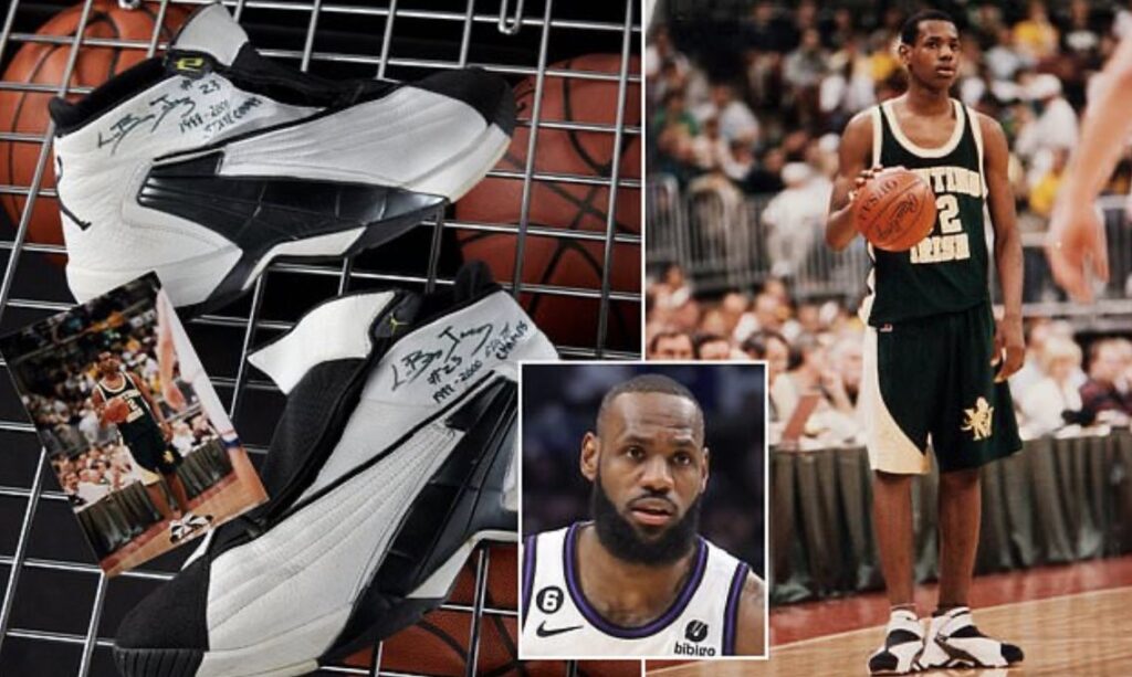 donde hacer subasta zapatos lebron james