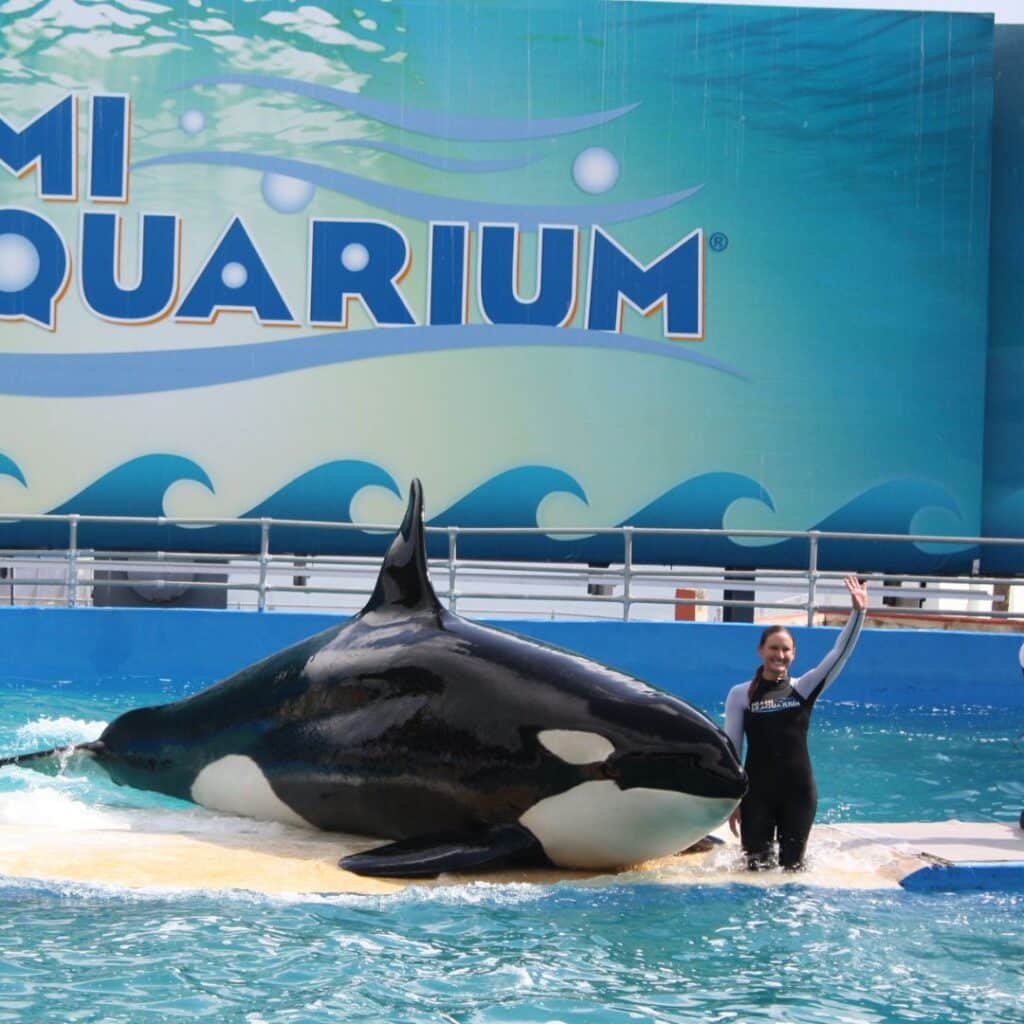 miami seaquarium acepto liberar a lolita?