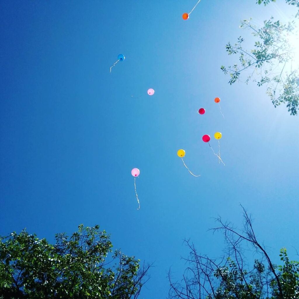 por que prohibiran el lanzamiento de globos en Florida?