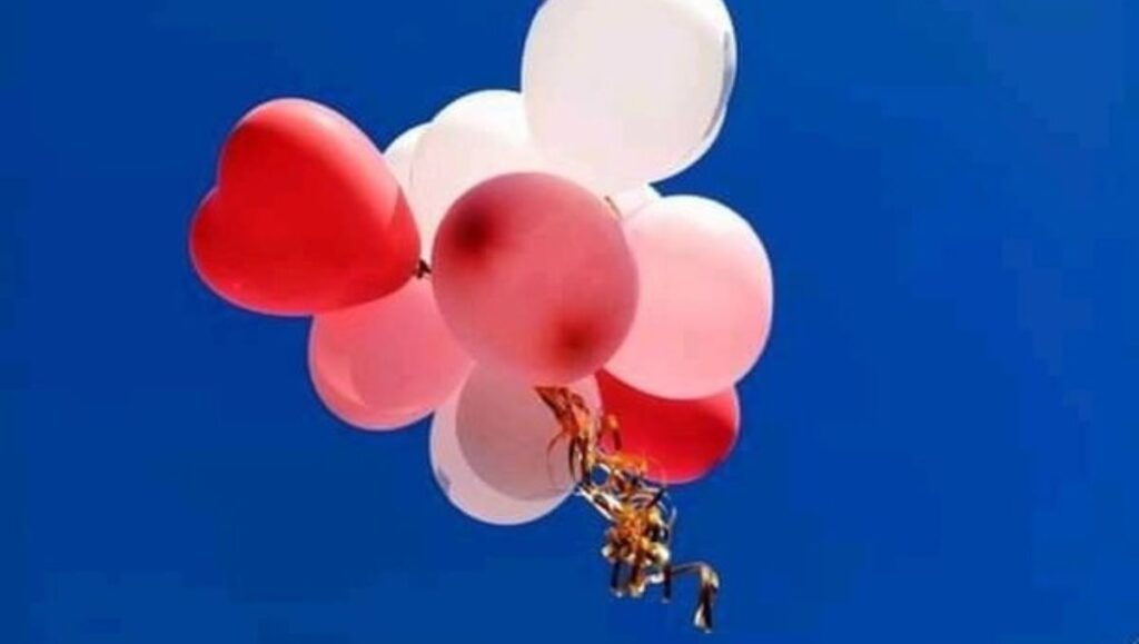 cual es la nueva ley que prohibira lanzar globos al aire en Florida?