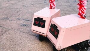 como es la nueva flota de robots de entrega de Tiny Mile?